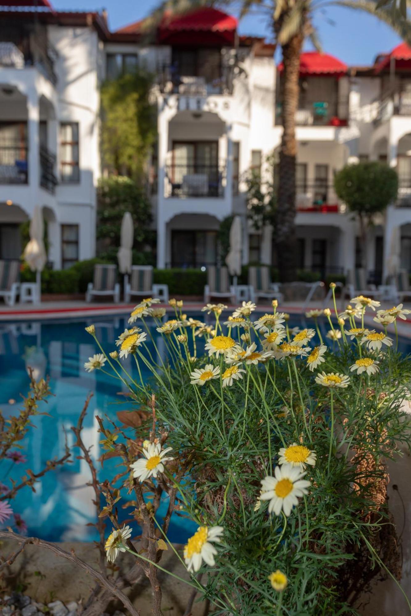 Mitos Apartments Marmaris Exteriör bild